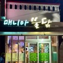 제주 매니아불닭 용담점, 이 맛에 빠진다! 불닭+닭껍질 튀김 리얼 후기 (박뚜기제주맛집)