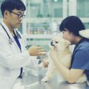건강하게 동물병원 이미지