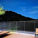 라이프 발란서 | 발란사 로고 반팔 : balansa 티셔츠 구매 솔직후기