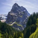 연세봄날에산부인과의원 이미지