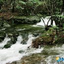 소백산자락길 제7코스 이미지