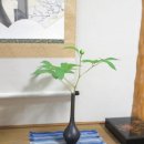 재미나노래연습장 이미지