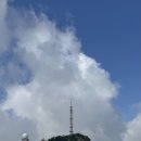 08/08(토) 관악브런치산행[지앤지대장님] 이미지