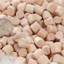 편백세상 이미지