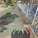 하린통닭 이미지