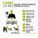 불불이족발 이미지