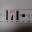 즐거운 인셀덤 | 인셀덤 일주일사용후기/이게명현현상?