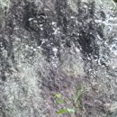 무주읍159 이미지