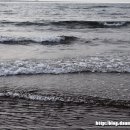 삼양해수욕장 이미지