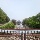 금천계곡 야영장 이미지