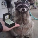 NR-3[동일로]-하-117 | [2월 3주차 ~3월 1주차] 슬픈 개강 증후군