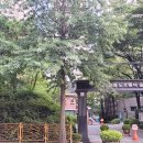 유림-1135 이미지