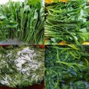 옥계 경계지역 이미지