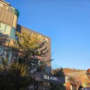 올라오니 | 대구 팔공산 맛집·카페 코스 추천 성공식당 &amp; 올라오니