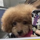 목련 노래방 이미지