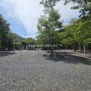 둥지펜션 캠핑장