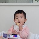 (주)큐브 | [후기 이유식 식단] 2월 3주차 (D+307~D+313) 주간 식단표: 완벽한 큐브 관리와 채소 3개 증량!