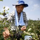 태안슈퍼 이미지