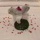 디투헤어 | [태국 끄라비] 아오낭 두짓 디투 리조트 4박 후기 (dusit D2 Ao Nang)