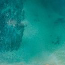 바다와숲 이미지