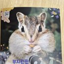 5플레이-부지런한 다람쥐의 하루/나뭇가지에 대롱대롱 이미지