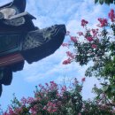 정자나무공원 이미지