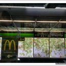 시에스타민박 이미지