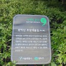 관악산 무장애숲길 이미지