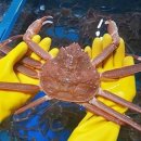 노을수산 이미지