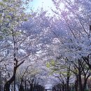 반계근린공원 이미지