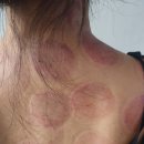 365경희철산한의원 이미지