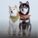 로얄캐닌코리아(유)