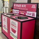이어돔