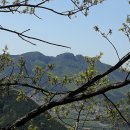 동산이마을회관 이미지