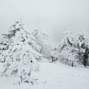 동부-전하-전하-09 | 1일 2산 태백산 만항재 함백산 설산 등산후기
