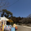 제주닷옴