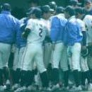 제주국제대학교 이미지