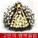 주안영안실