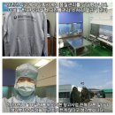 윤종근농장 | 필리핀망고 설명절 단체,개인주문 상담받습니다.