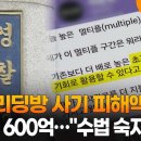 피싱·리딩방 사기 피해액 월평균 600억…"수법 숙지해야" 이미지