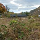 금싸라기공인중개사사무소 이미지