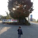 경기도 용인시 블루캠핑장 캠핑후기