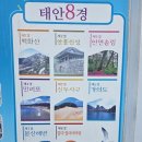 사정1리 | 250915 셋걸음 55번째 미션 태안 보청도 걷기