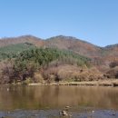 꽃여울강변 이미지