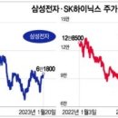 하이닉스(주)
