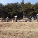 횡산리 진료소 Daum카페