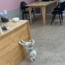 컴피 포항점 이미지