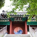 순천-48호 이미지