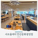 문화과일야채 | 샤브올데이 안산문화광장점 무한리필 내돈내먹 후기