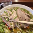 고수한잎 이미지